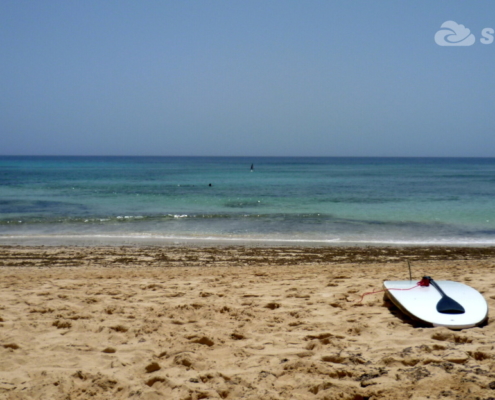 sup fuerteventura