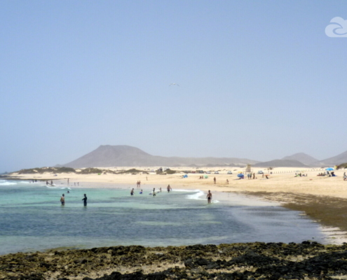 sup fuerteventura