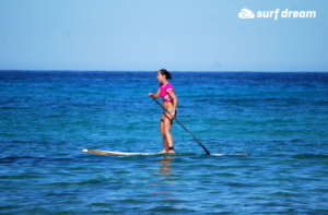 paddleboard kurz fuerteventura