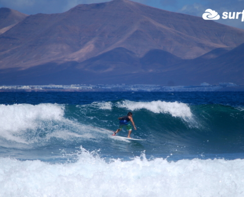 surf fuerteventura