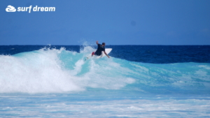 surf fuerteventura