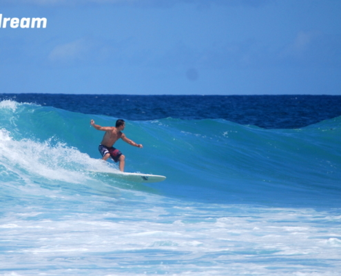 surf fuerteventura