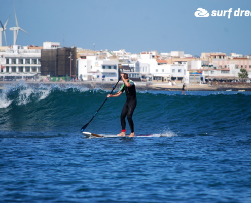 paddleboard kurz fuerteventura