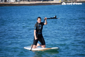 paddleboard kurz fuerteventura