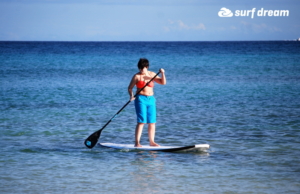sup school fuerteventura