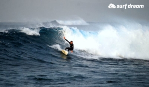 surf fuerteventura