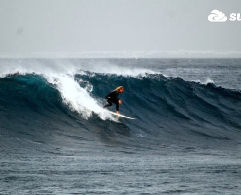 surf fuerteventura