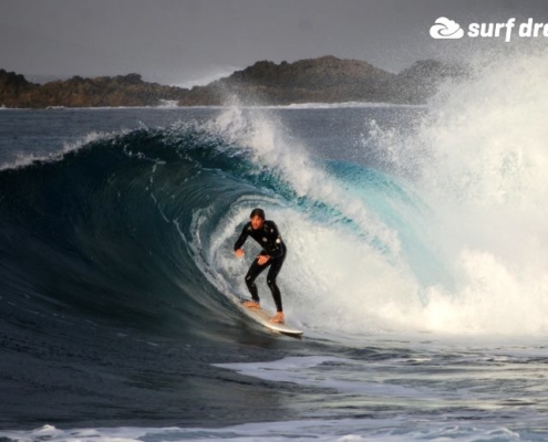 surf fuerteventura