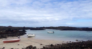fuerteventura-lobos