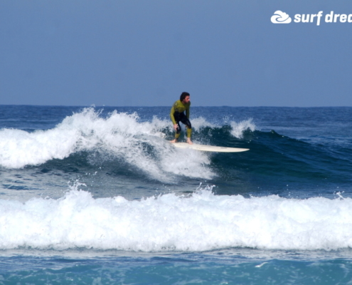 surf fuerteventura