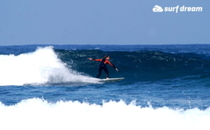 surf fuerteventura