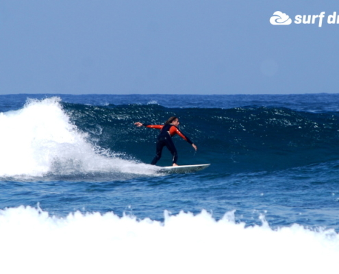 surf fuerteventura