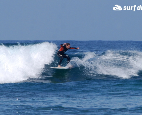 surf fuerteventura