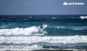 surf fuerteventura