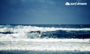 surf fuerteventura