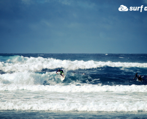 surf fuerteventura