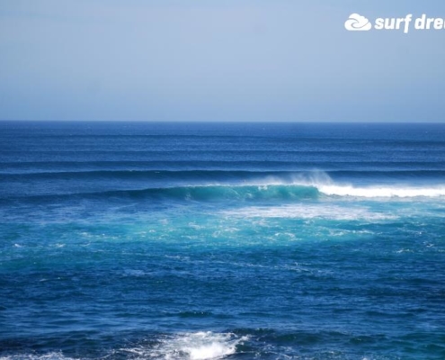 surf fuerteventura