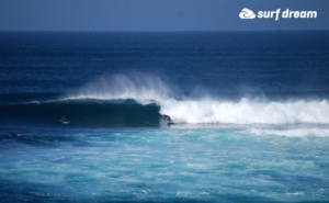 surf fuerteventura