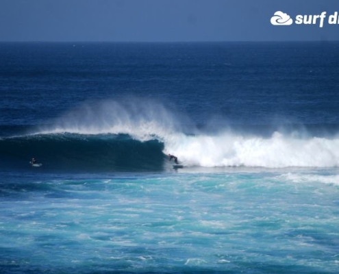 surf fuerteventura