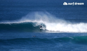surf fuerteventura
