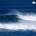 surf fuerteventura