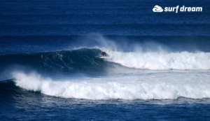 surf fuerteventura