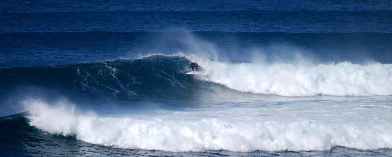 surf fuerteventura