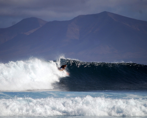 fuerteventura surf