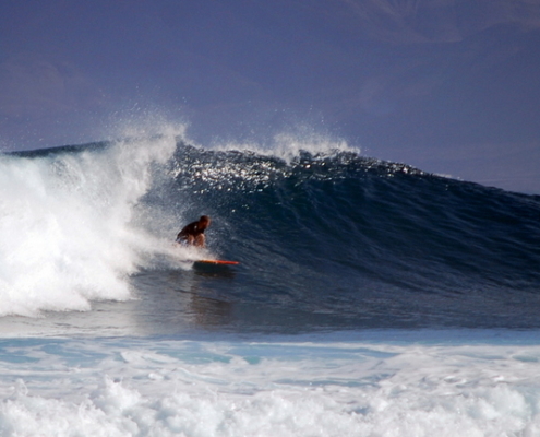 fuerteventura surf