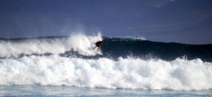 fuerteventura surf