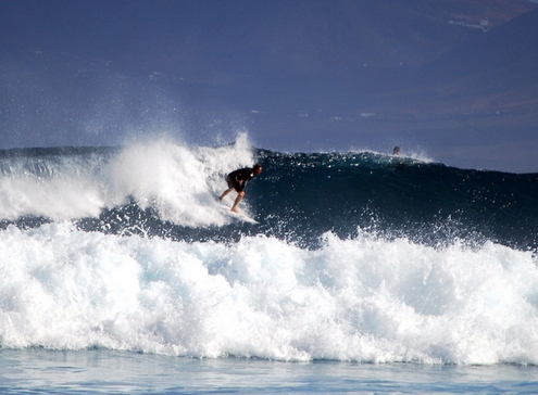 fuerteventura surf