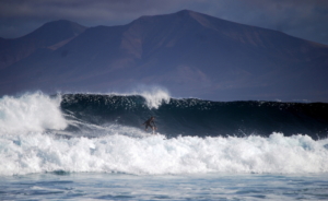 fuerteventura surf