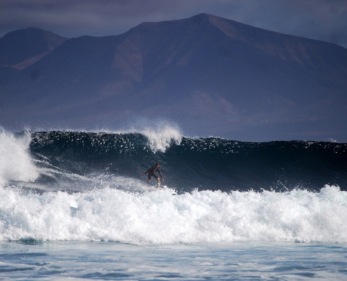 fuerteventura surf