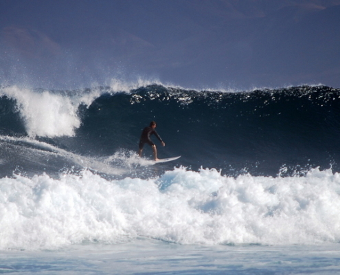 fuerteventura surf