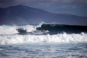 fuerteventura surf