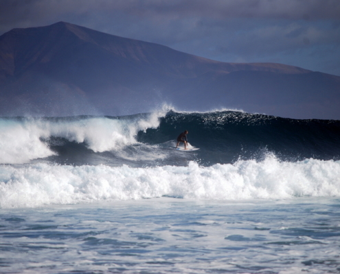 fuerteventura surf