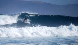 fuerteventura surf
