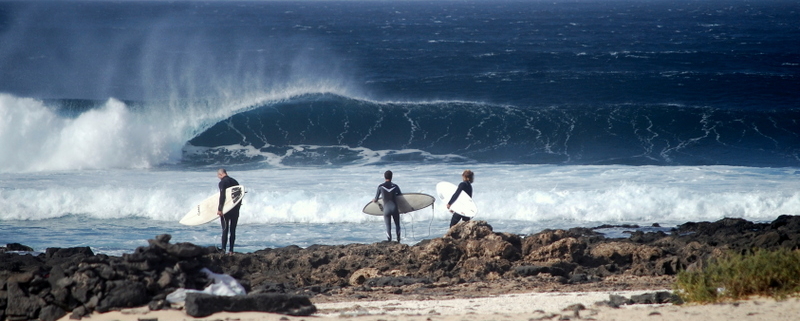 surf fuerteventura