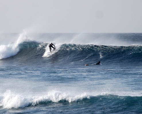 surf fuerteventura