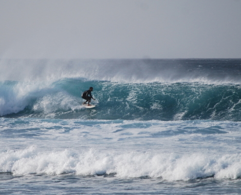 surf fuerteventura