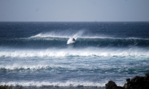 surf fuerteventura