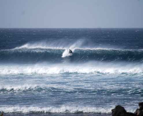 surf fuerteventura