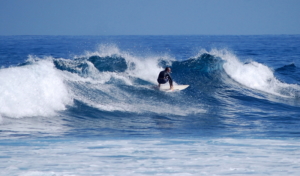 surf fuerteventura