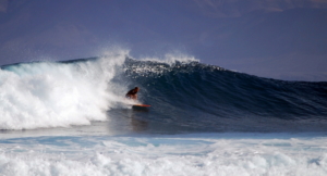 surf fuerteventura