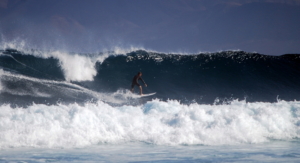 surf fuerteventura