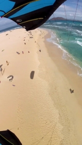 flagbeach kite