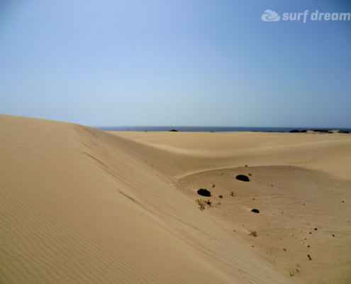 corralejo dunes