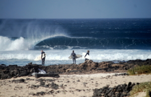 surf fuerteventura