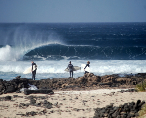 surf fuerteventura