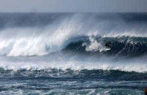 surf fuerteventura